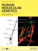 Screen Shot 2015-07-26 at 10.55.06 AM