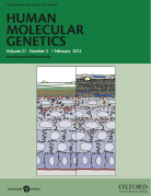 Screen Shot 2015-07-26 at 10.55.18 AM