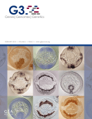 Screen Shot 2015-07-26 at 11.20.05 AM